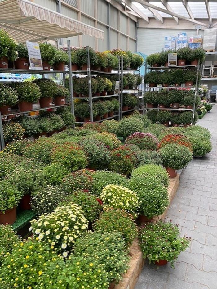 Images Bricorama Les Billaux