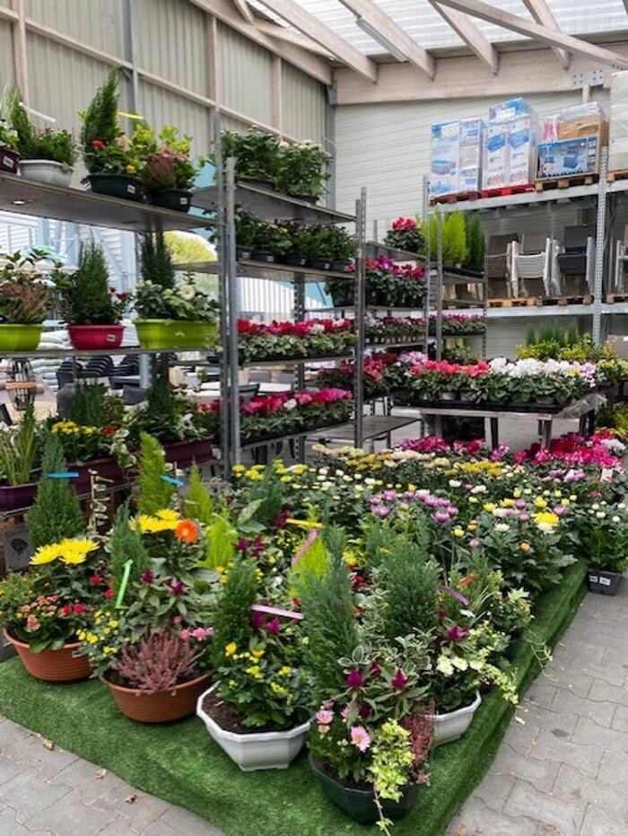 Images Bricorama Les Billaux