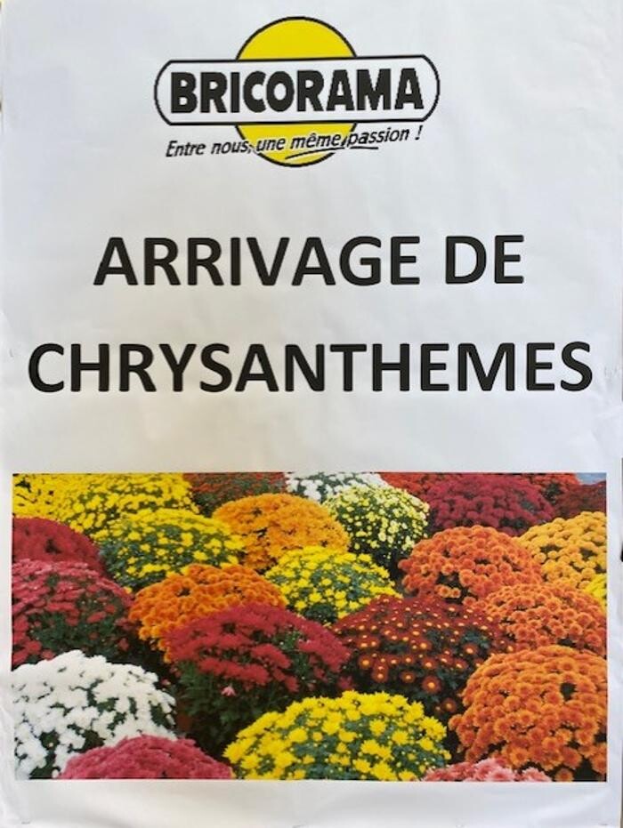 Images Bricorama Les Billaux