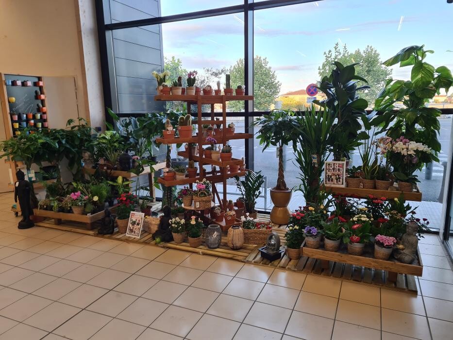 Images Bricorama Les Billaux