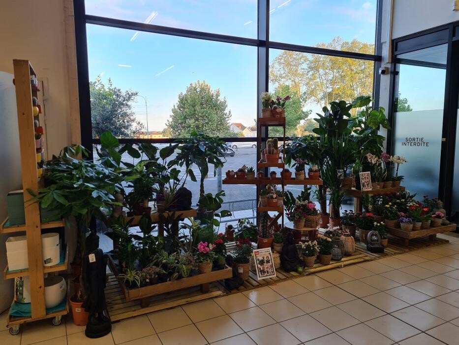 Images Bricorama Les Billaux