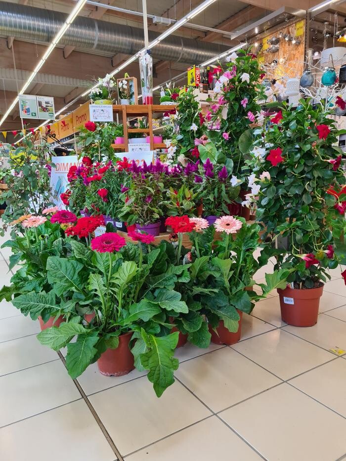 Images Bricorama Les Billaux