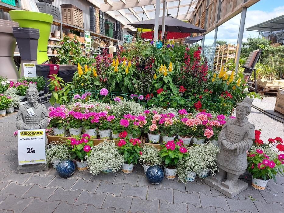 Images Bricorama Les Billaux