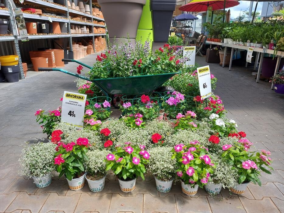 Images Bricorama Les Billaux