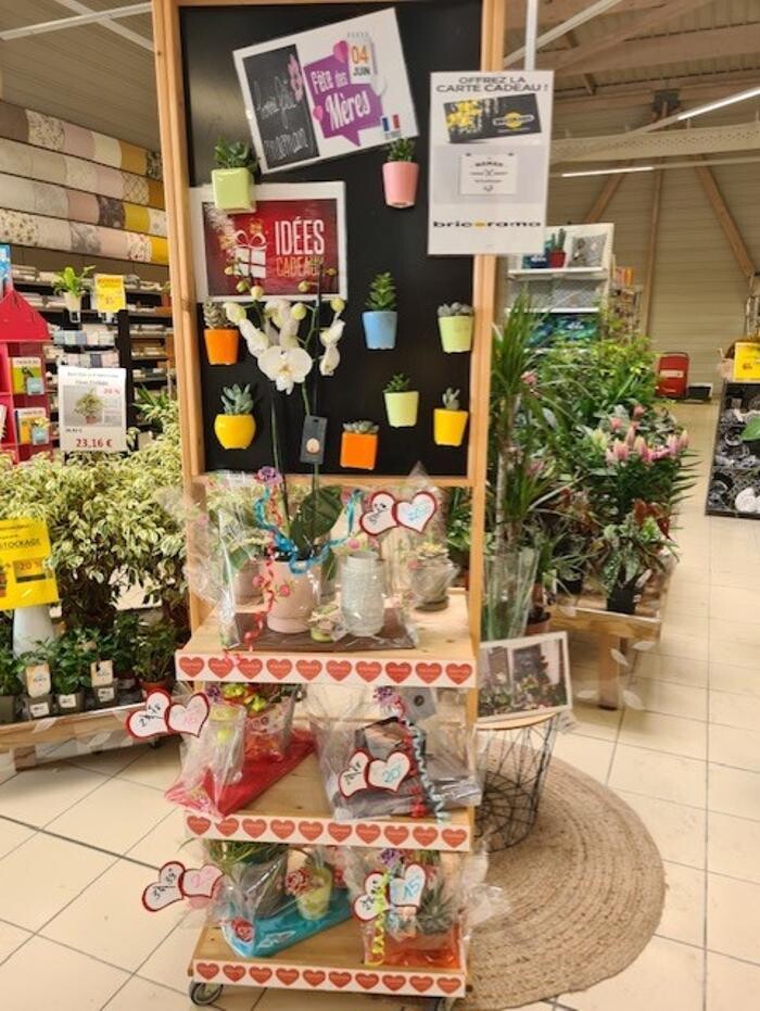 Images Bricorama Les Billaux