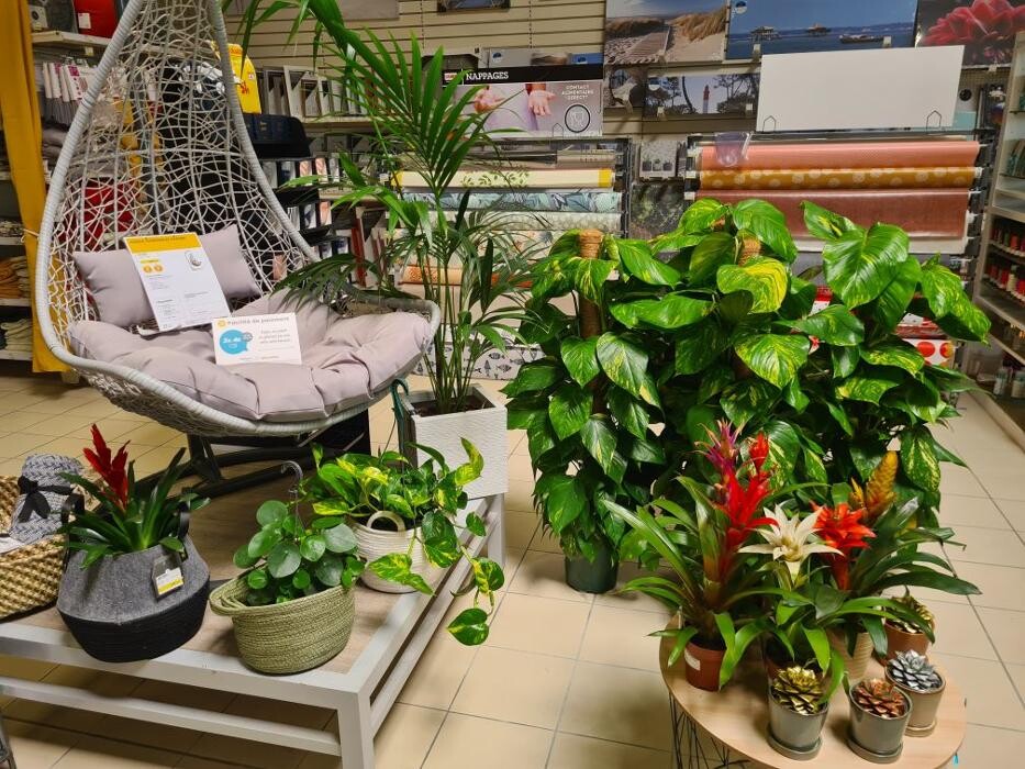 Images Bricorama Les Billaux