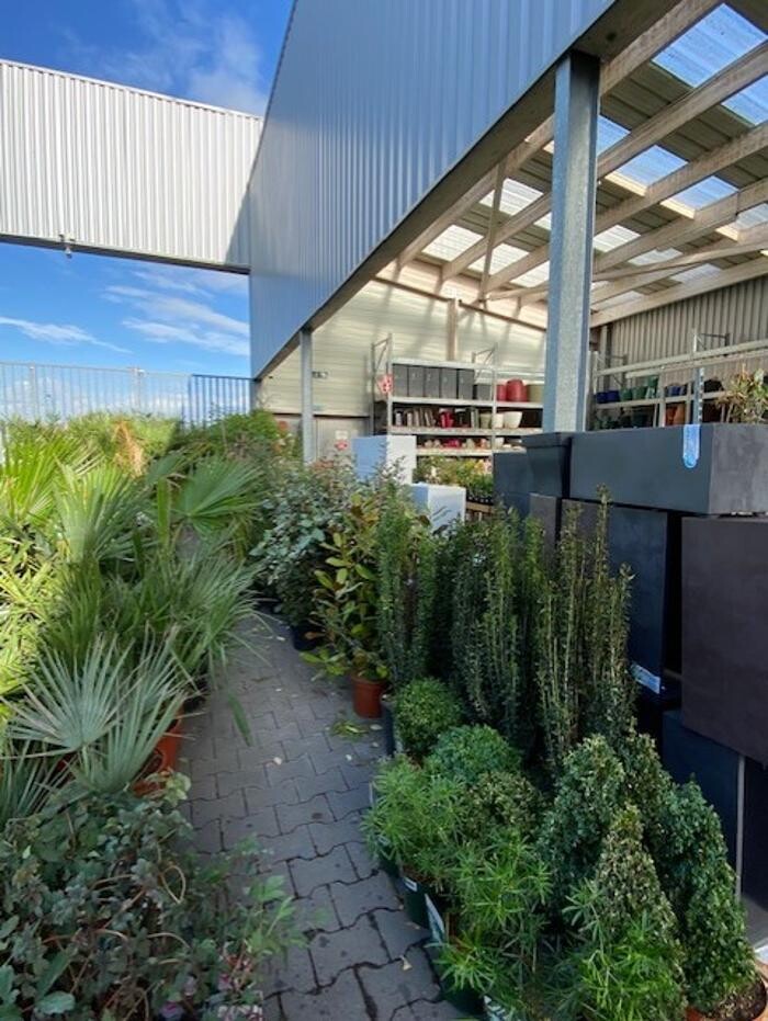 Images Bricorama Les Billaux