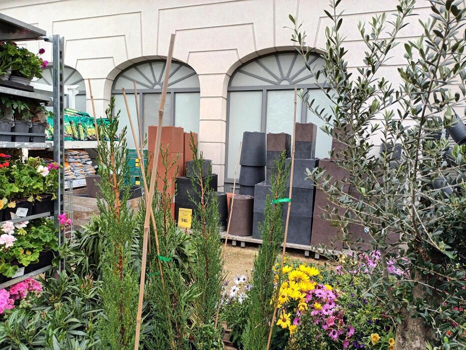Images Bricorama Le Plessis Robinson