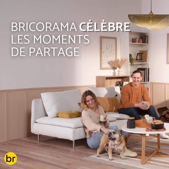 Images Bricorama Nice