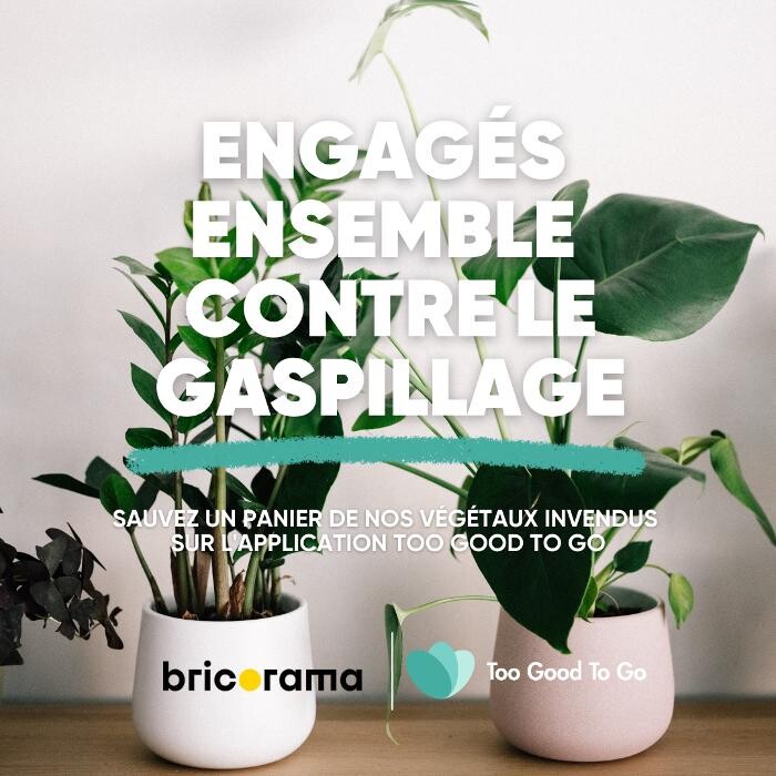 Images Bricorama Nice