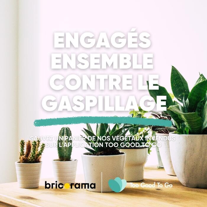Images Bricorama Nice