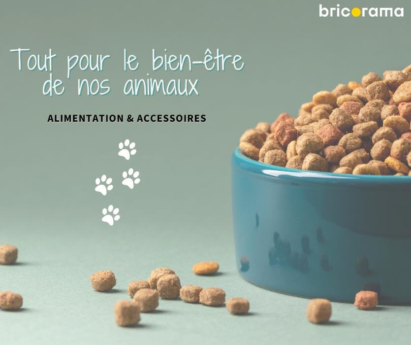 Images Bricorama Nice