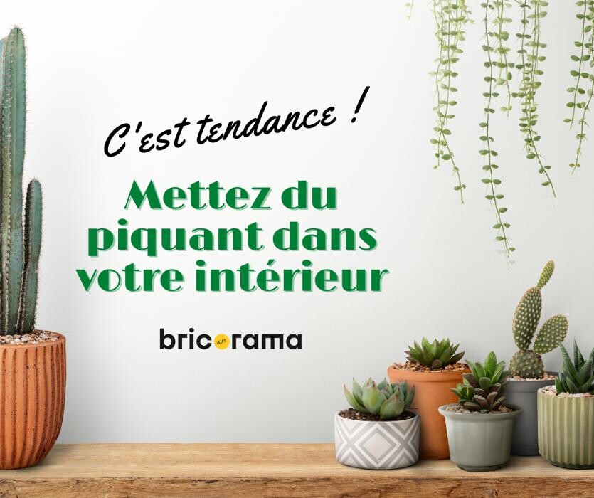 Images Bricorama Nice