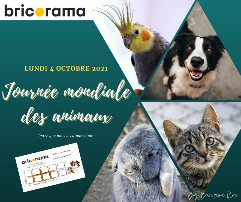 Images Bricorama Nice