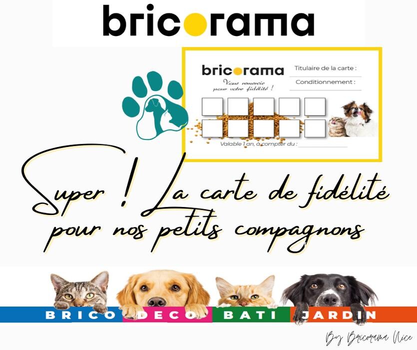 Images Bricorama Nice