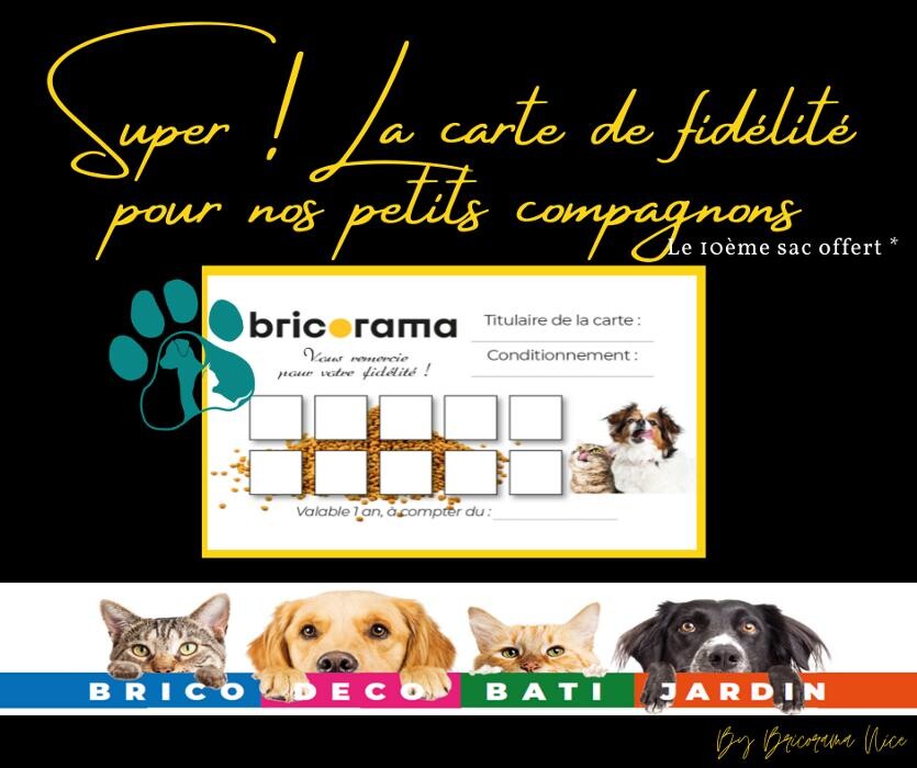 Images Bricorama Nice
