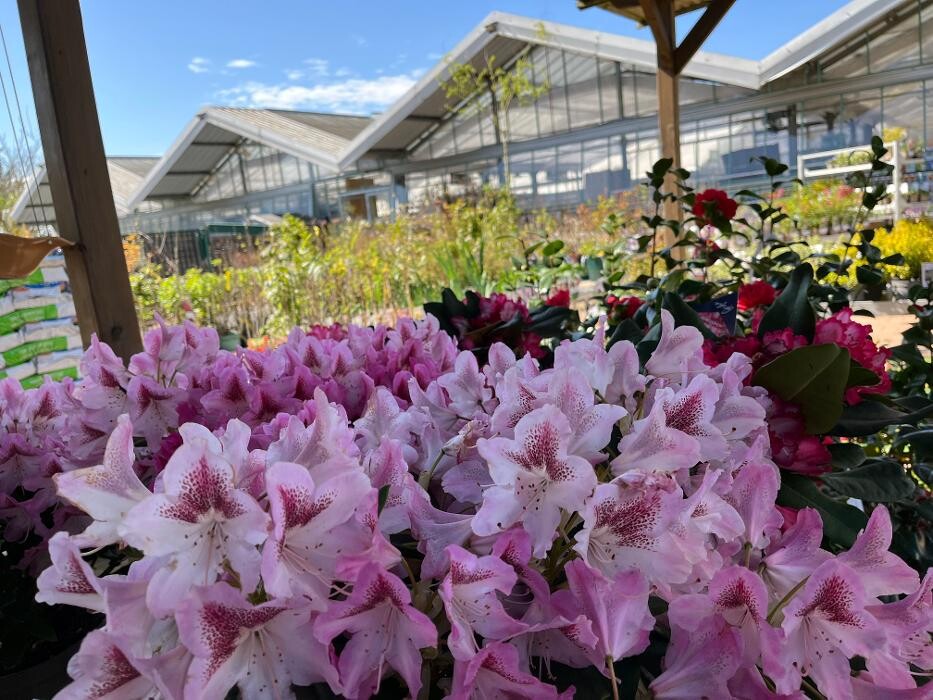 Images Bricorama Montargis