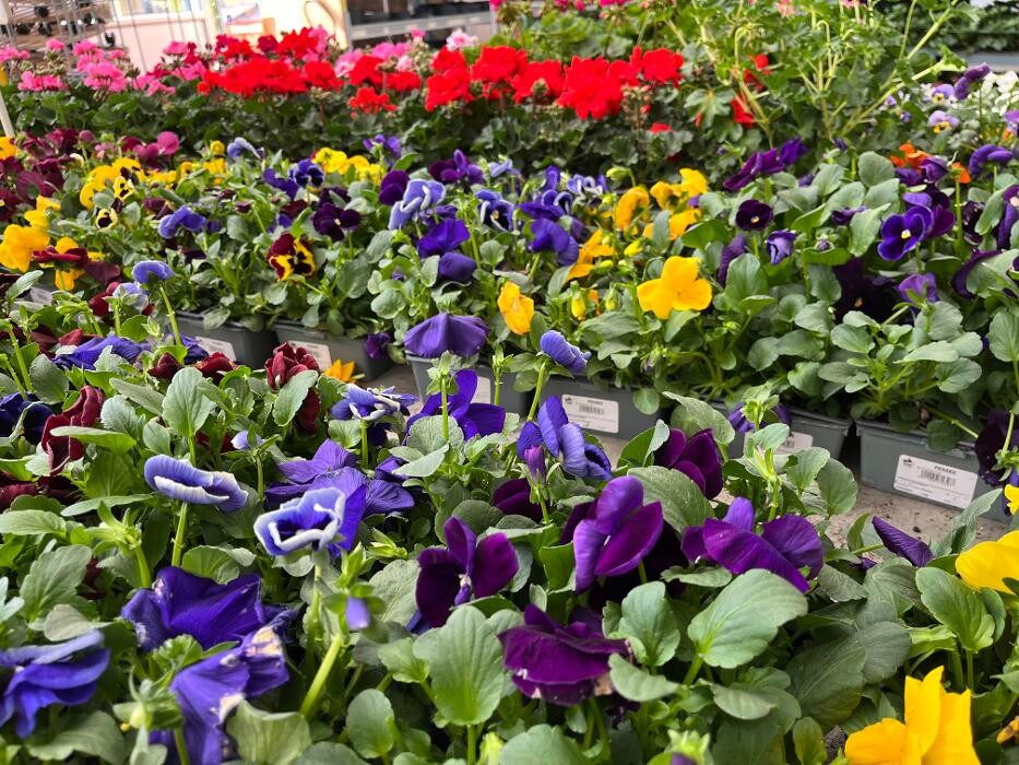 Images Bricorama Montargis