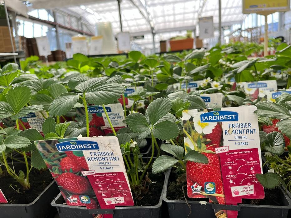 Images Bricorama Montargis