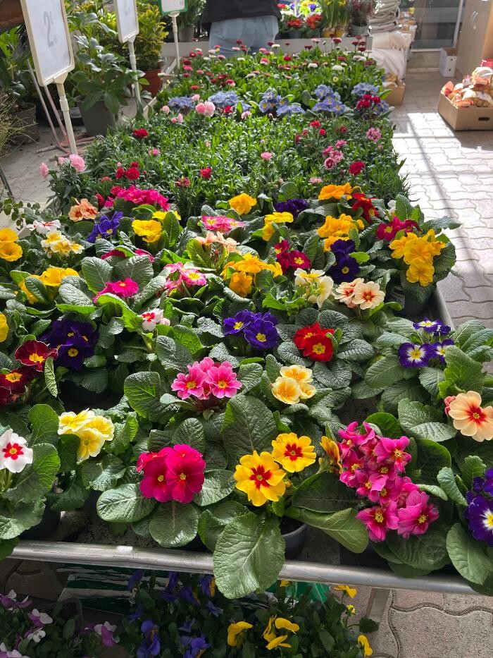 Images Bricorama Montargis