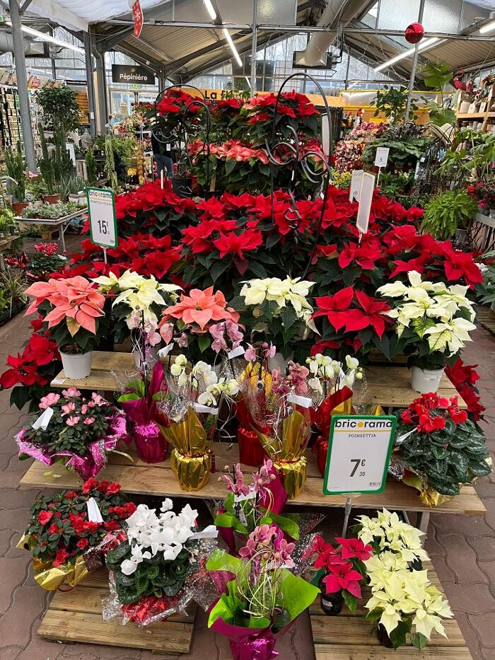 Images Bricorama Montargis