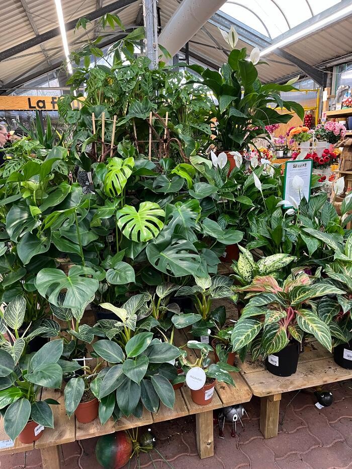 Images Bricorama Montargis