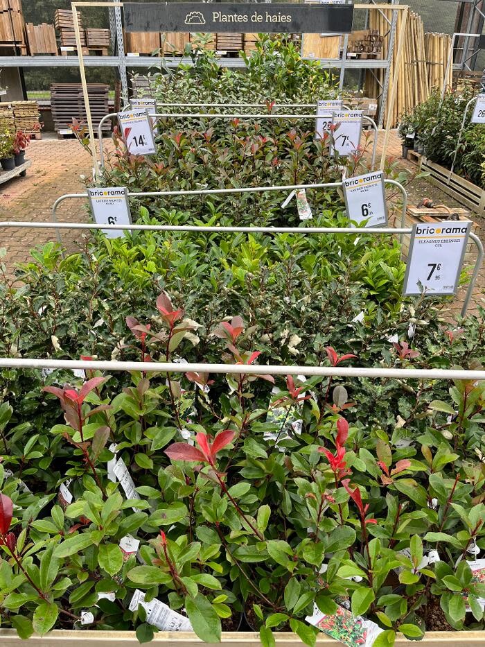 Images Bricorama Montargis