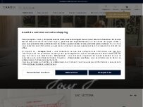 Website Screenshot Caroll