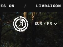 Website Screenshot Aura store