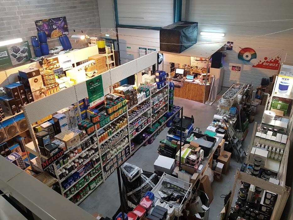 Images Jungle Paradise