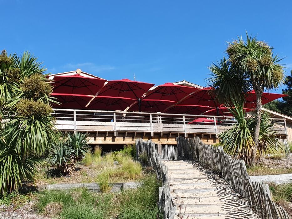 Images Le bistrot du golf