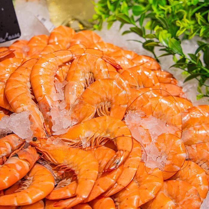 Images Criée Raynier - Hyères