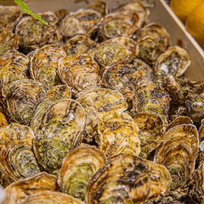 Images Criée Raynier - Hyères