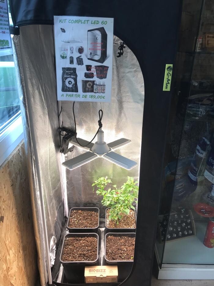 Images Toukipouss Growshop CBD shop