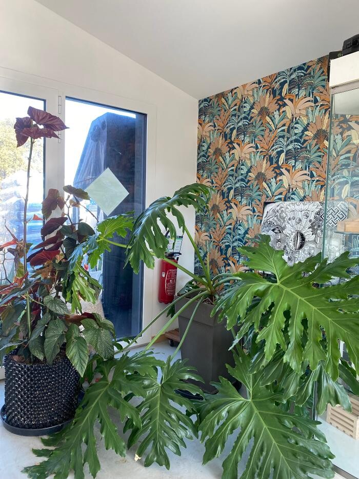 Images Les Jardins Suspendus - Hydrozone