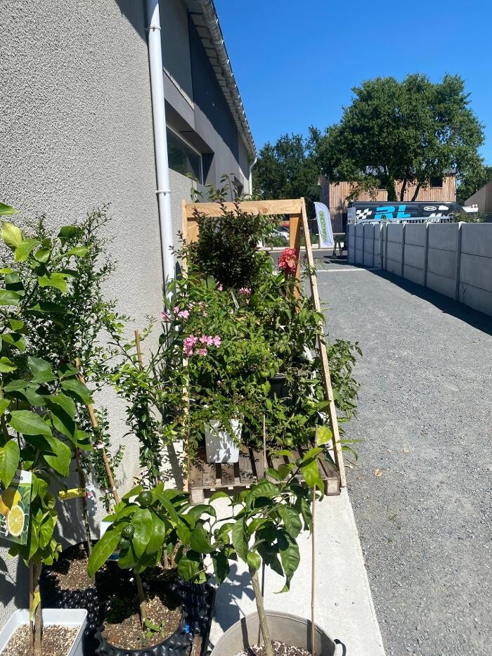 Images Les Jardins Suspendus - Hydrozone