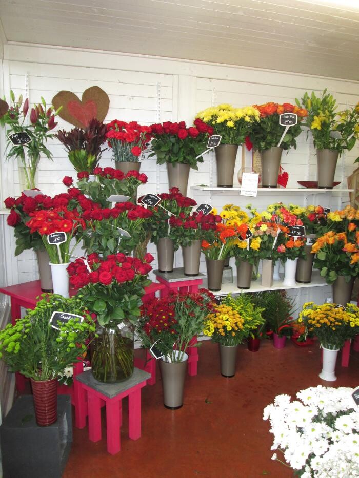 Images Jardinerie Delbard Le Puy en Velay