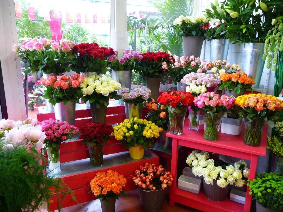 Images Jardinerie Delbard Le Puy en Velay