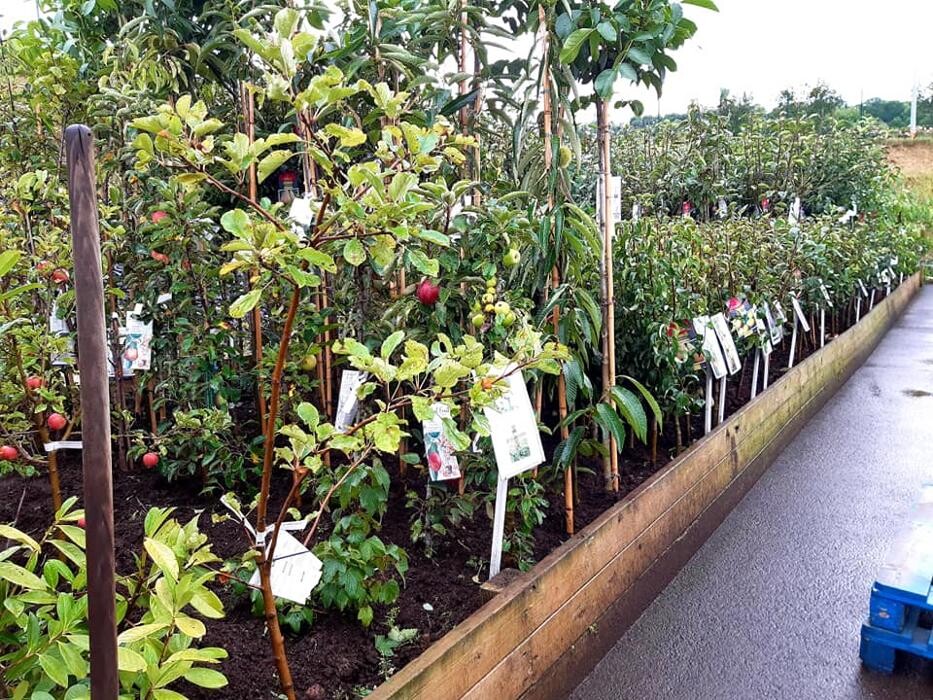 Images Jardinerie Delbard Le Puy en Velay