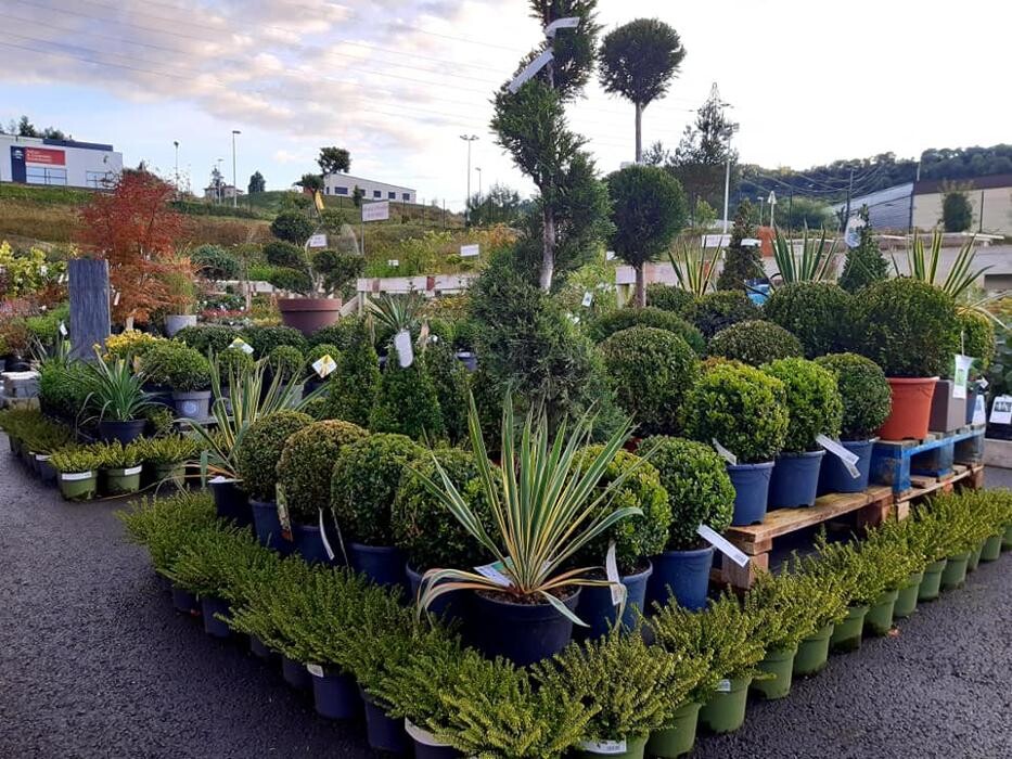 Images Jardinerie Delbard Le Puy en Velay