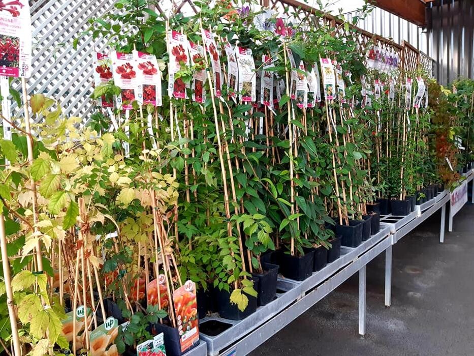 Images Jardinerie Delbard Le Puy en Velay