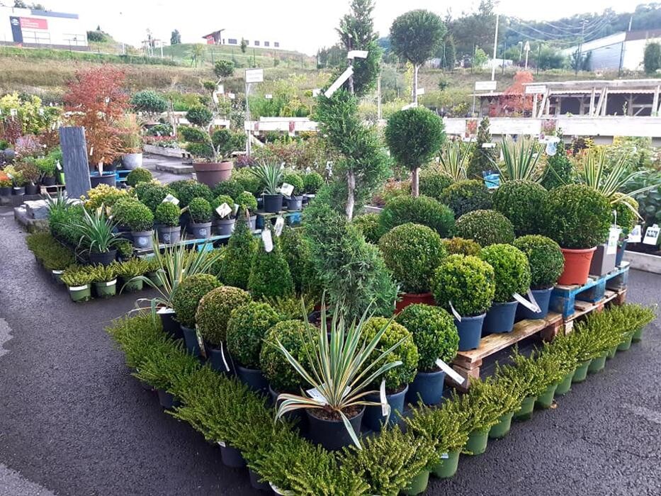 Images Jardinerie Delbard Le Puy en Velay