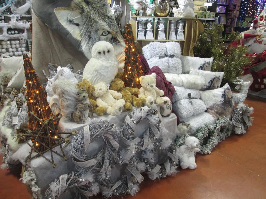 Images Jardinerie Delbard Le Puy en Velay