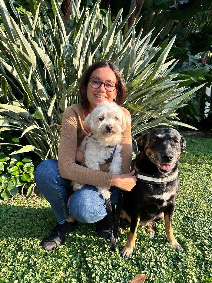 Images Les Chiens en Nature