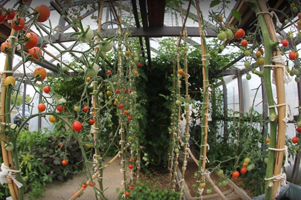 Images Hydro et culture St malo