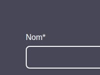 Website Screenshot sweatsavados