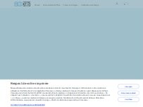 Website Screenshot Belib' Charging Station