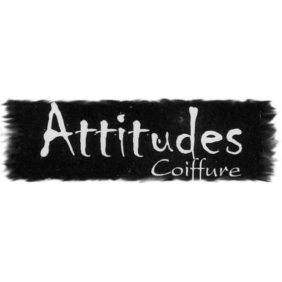 Images Attitudes Coiffure