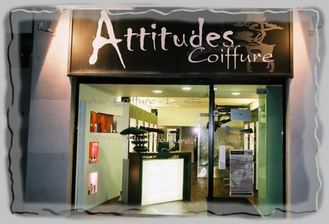 Images Attitudes Coiffure