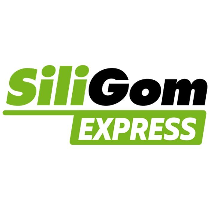 Images SILIGOM EXPRESS - ELECTRIC STATION